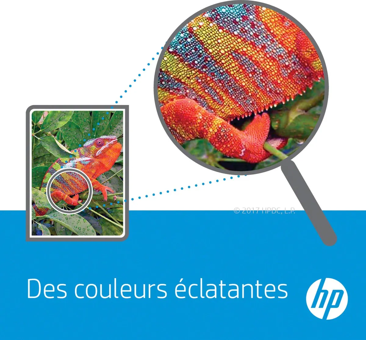 HP C9702A Tonercartridge Geel