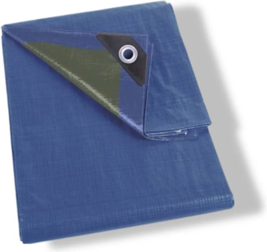 Perel Dekzeil 2x4m Blauw/Groen - 12 Ringen