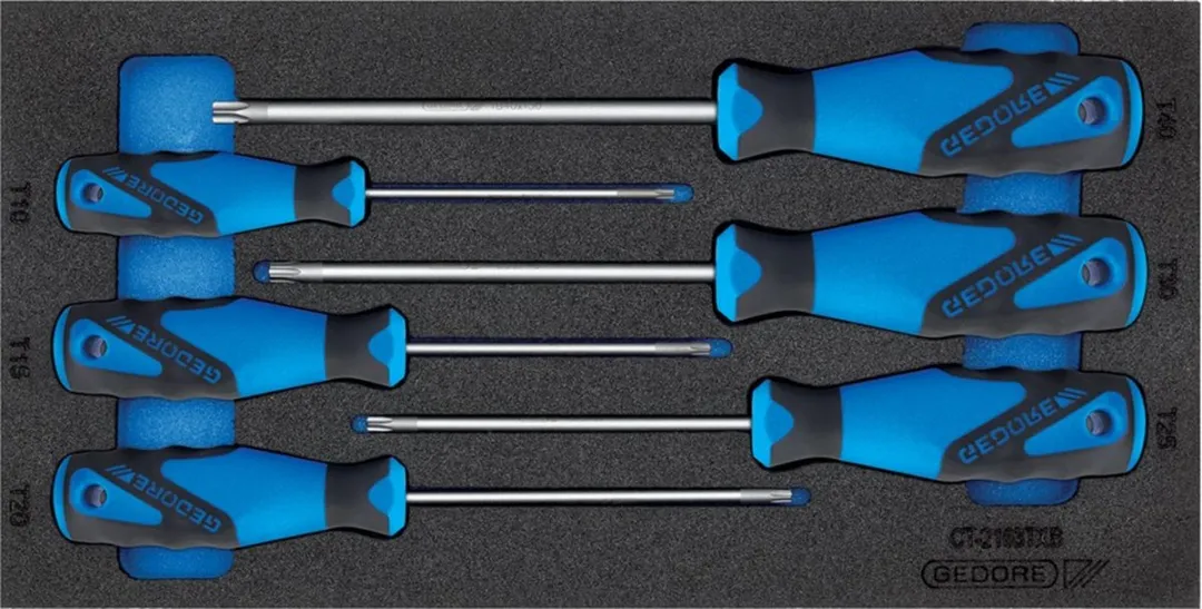 Gedore Torx Schroevendraaierset 6-delig