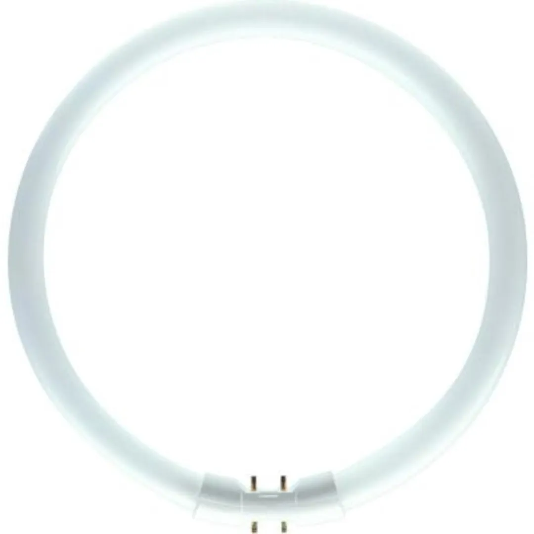 Philips Master TL5 Circular 60W/840 2GX13