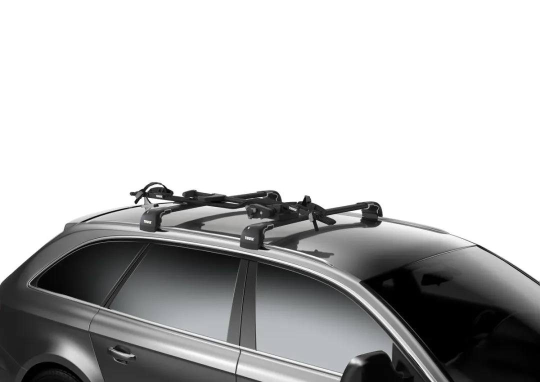 Thule ProRide 598002 Dak Fietsendrager - 1 Fiets - Zwart