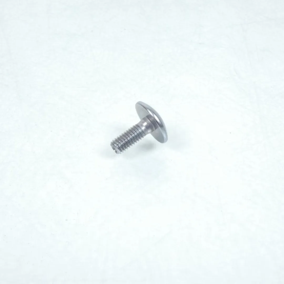 Yamaha 530 XP T-Max M6 Schroef 100mm - 90110-06200