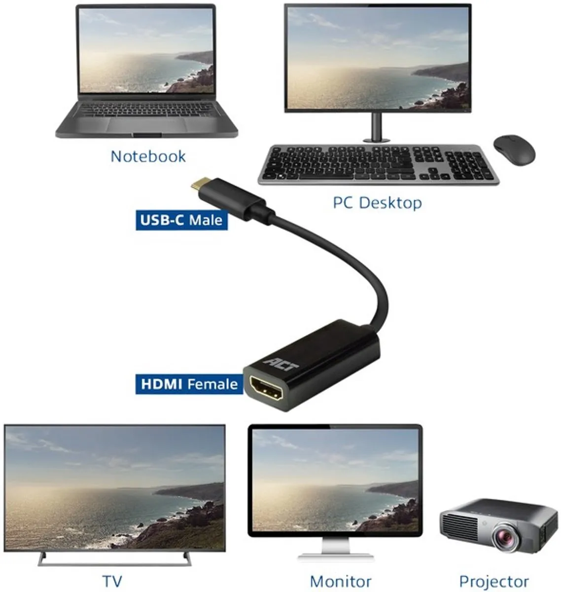HP Externe Video-adapter USB-C naar HDMI - 1WC36AA - Zwart