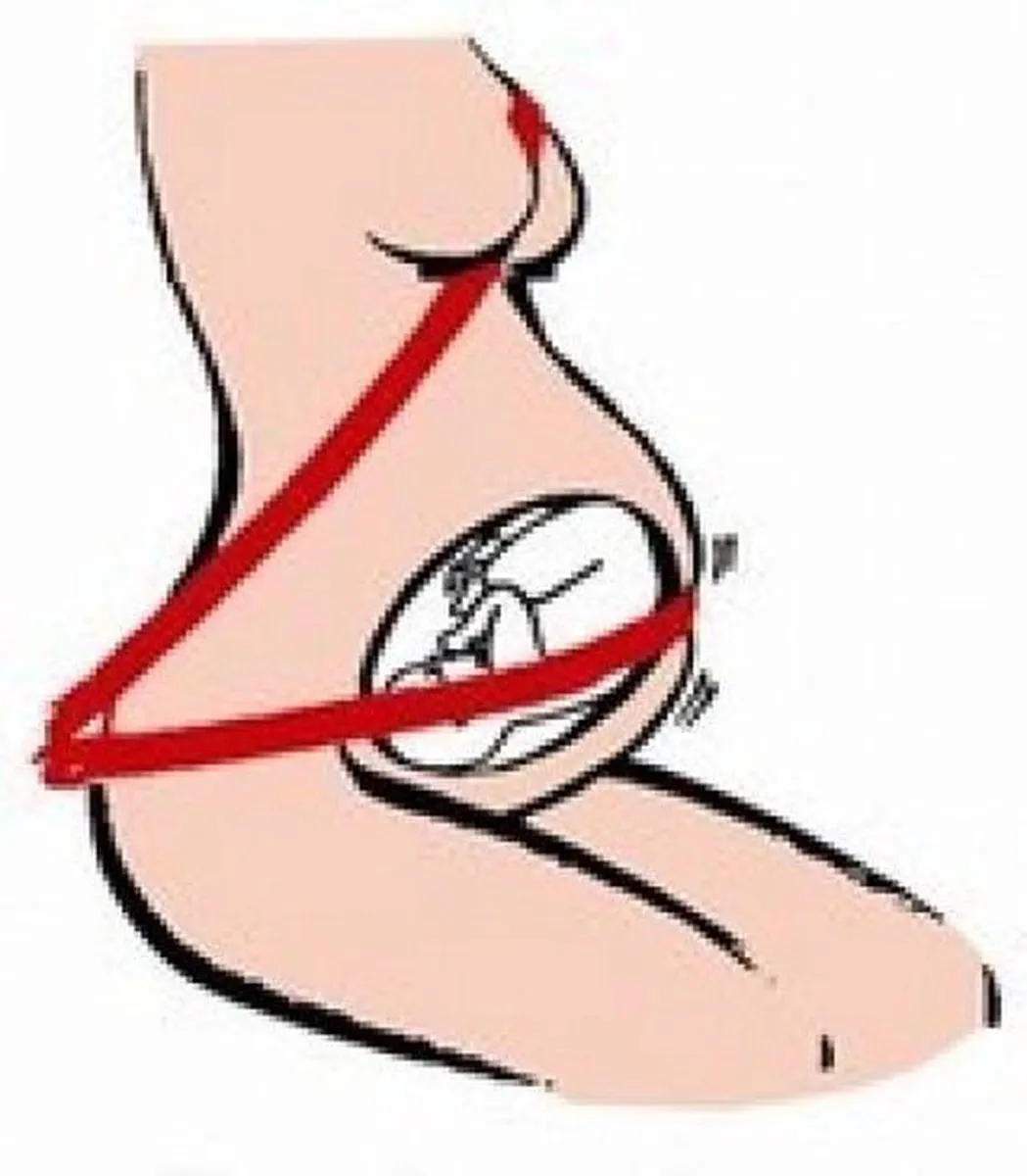 Besafe Pregnant Zwangerschapsgordel - Zwart/Grijs