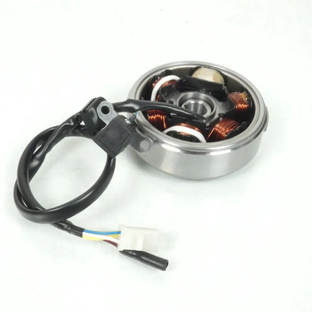 Peugeot 50 Ludix Magneetontsteking 766005/768349