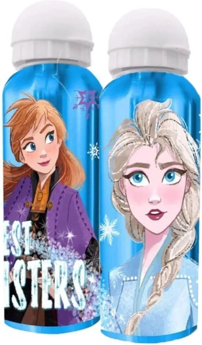 Disney Frozen Drinkfles 500ml