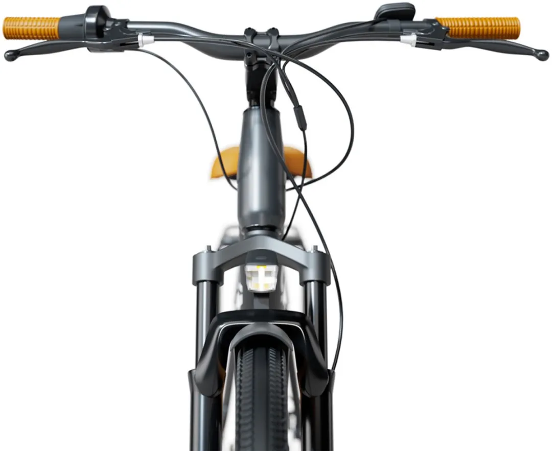 Sharp Brooklin Herenfiets 29 inch - 250W - 290Wh - 6 Versnellingen