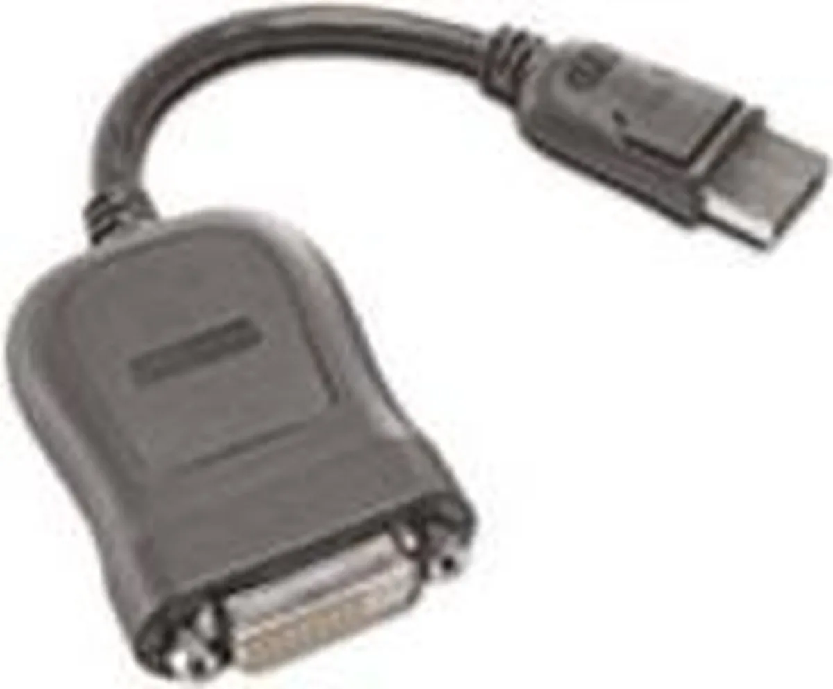 Lenovo DisplayPort naar DVI-D Kabel 45J7915