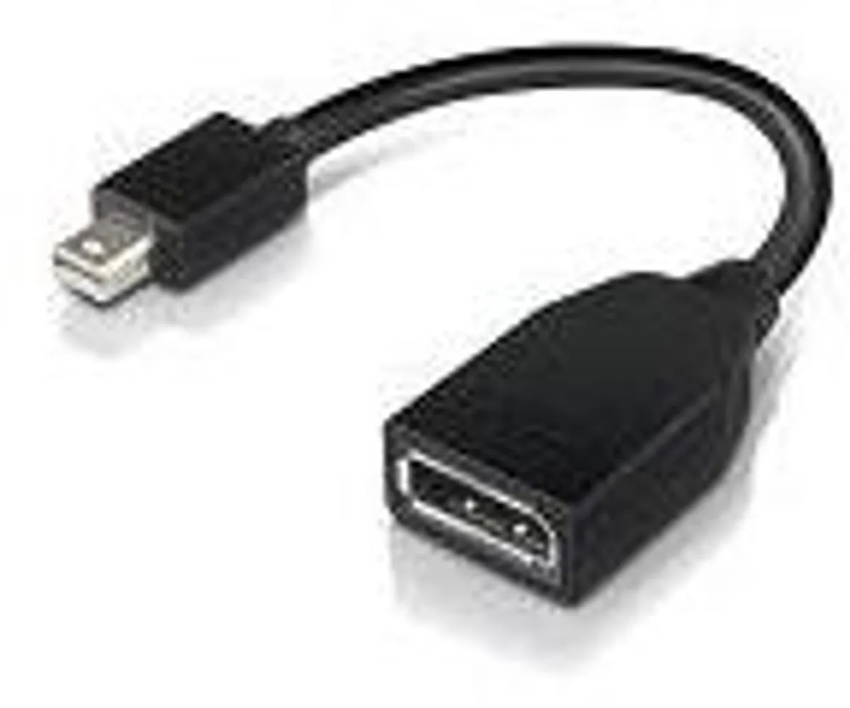 Lenovo Mini-DisplayPort naar DisplayPort Adapter