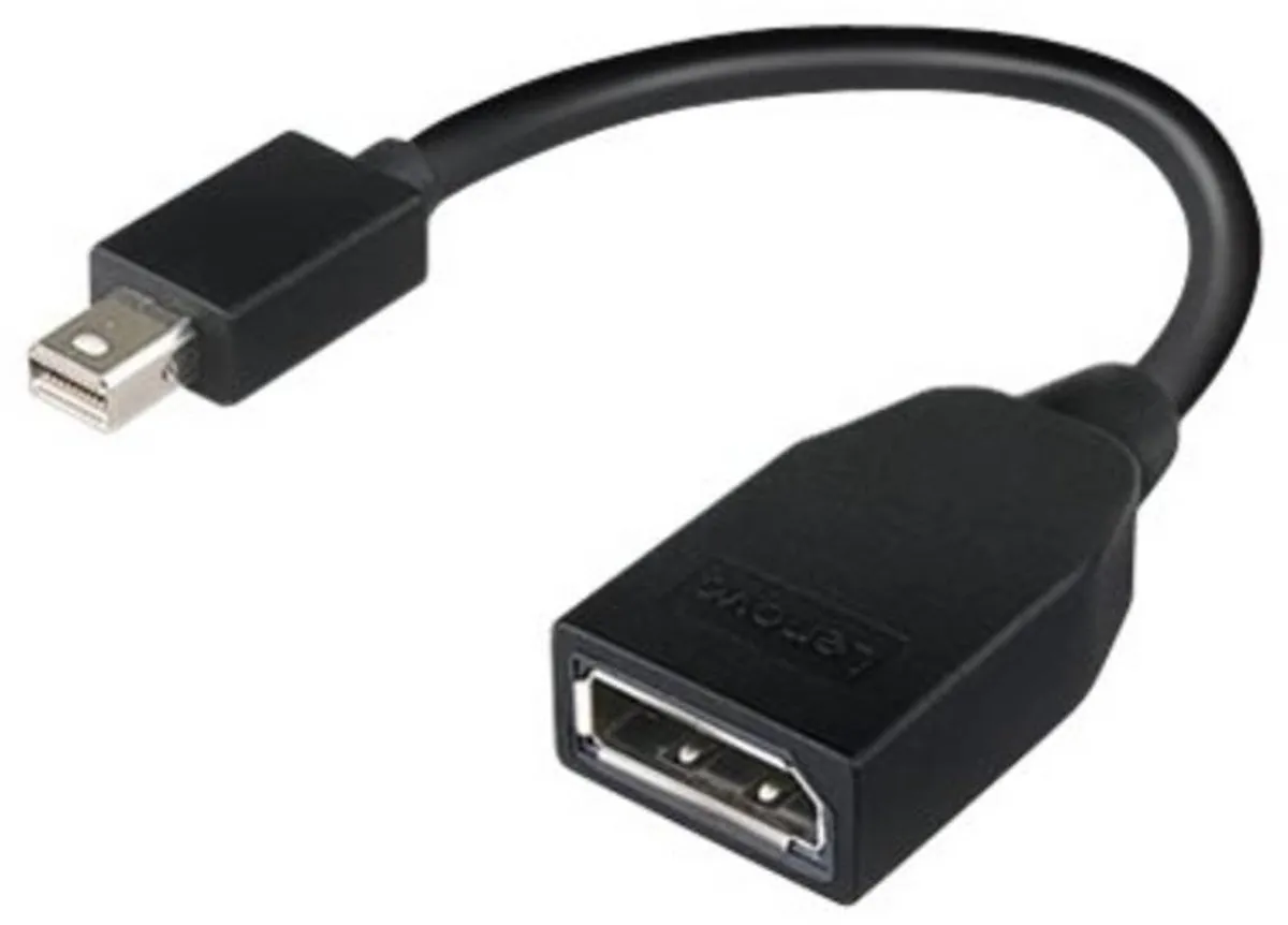 Lenovo Mini-DisplayPort naar DisplayPort Adapter - Zwart