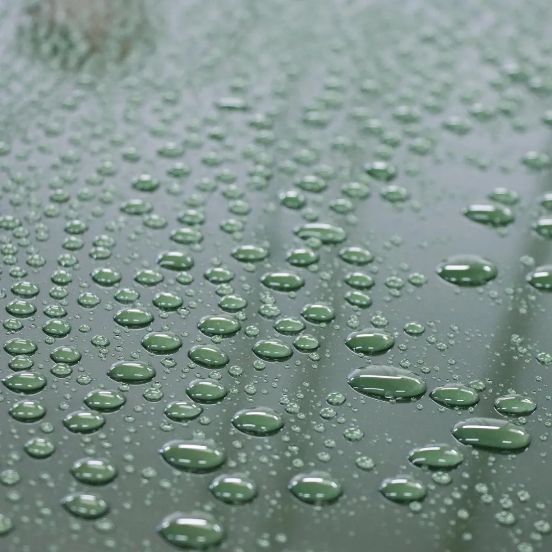 Koch Chemie W0.01 Hand Wax | Carnauba Paste Wax -175 ml