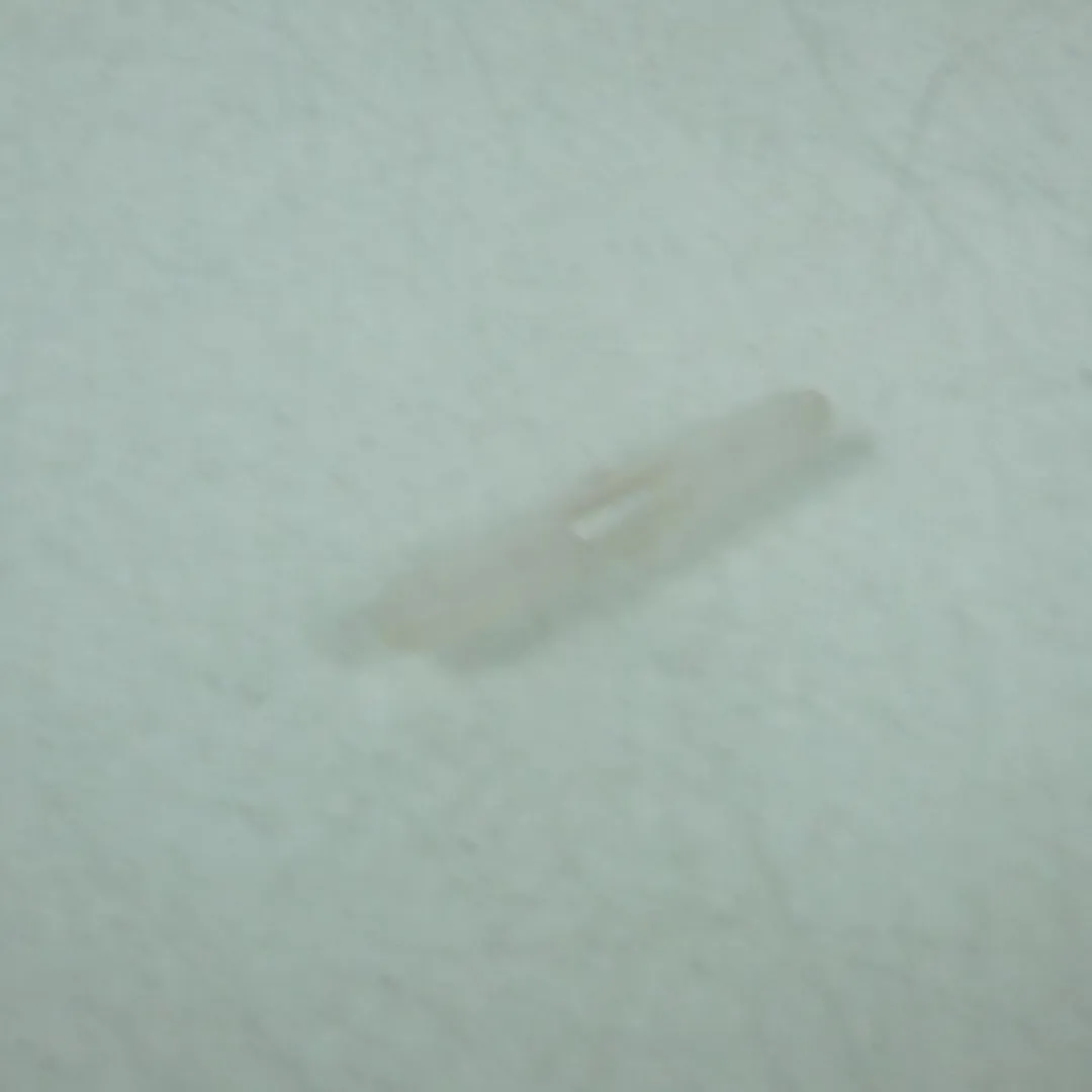 Peugeot 705197 Axe plastique - Ø5mm x 36mm