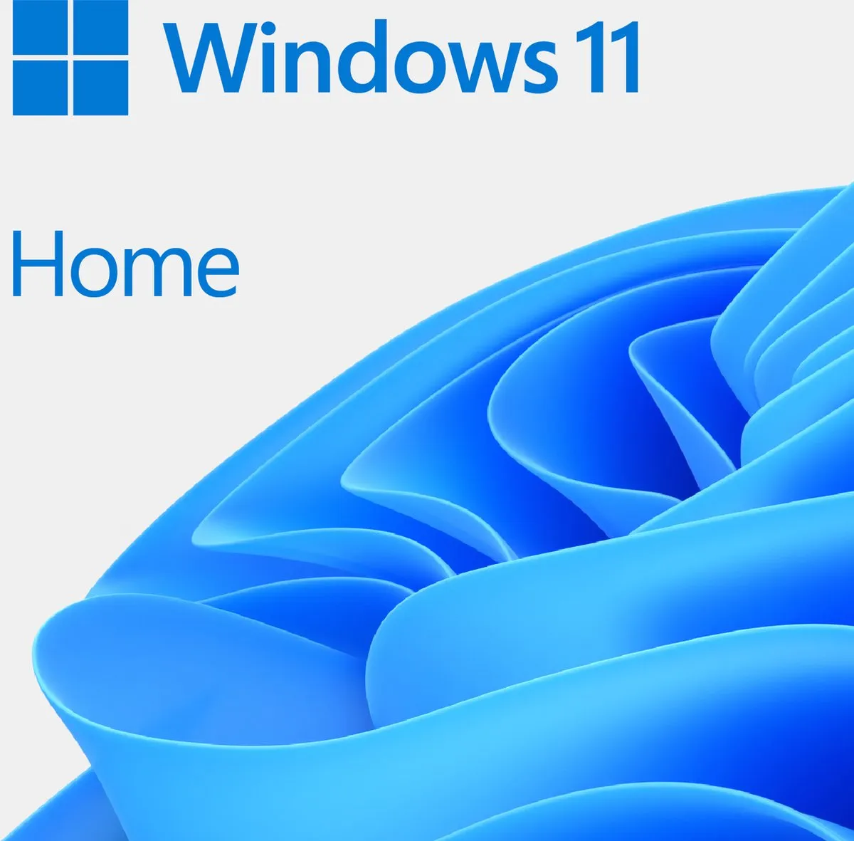 Microsoft Windows 11 Home KW9-00664