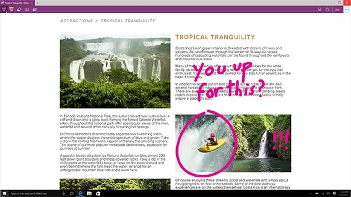 Windows 10 Home 32-bit / 64-bit Universeel USB Installatie Medium Retail