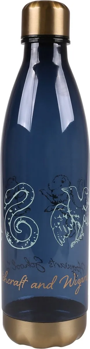 Harry Potter Zweinstein Fles 1L - Blauw - afbeelding 2 van 4