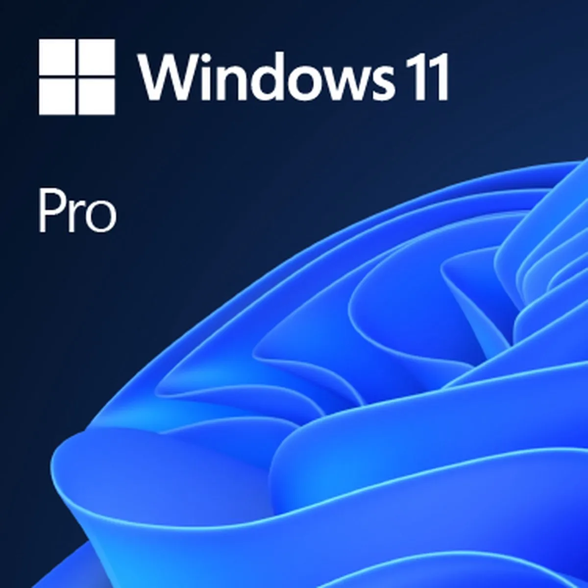 Microsoft Windows 11 Pro HAV-00162 - 1 Apparaat