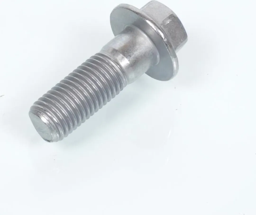 Yamaha XVZ Venture Royal Remklauw Bout M10 90105-10638