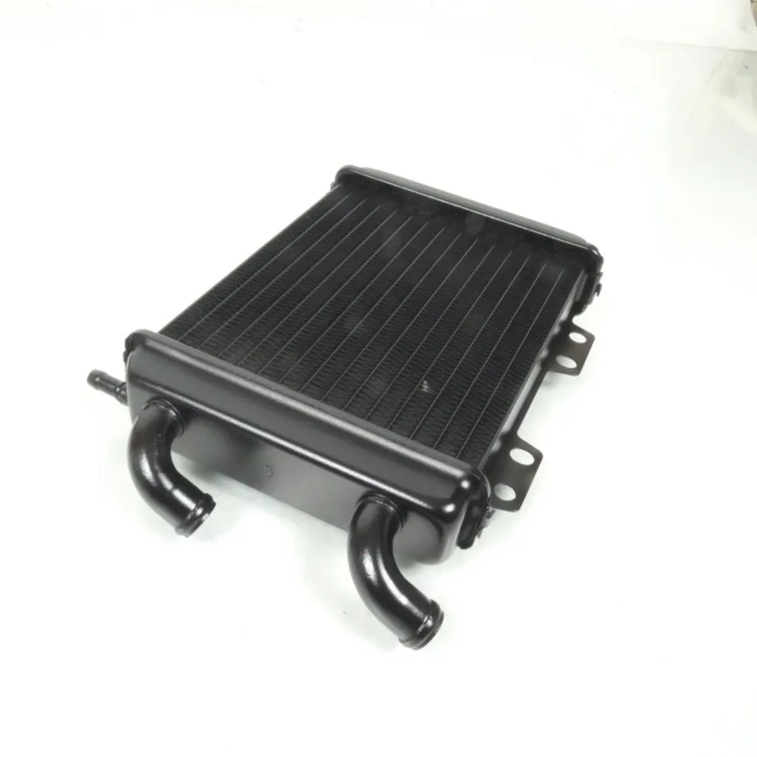 Peugeot Radiateur Scooter Elyseo 125 - 45293/738202/737859