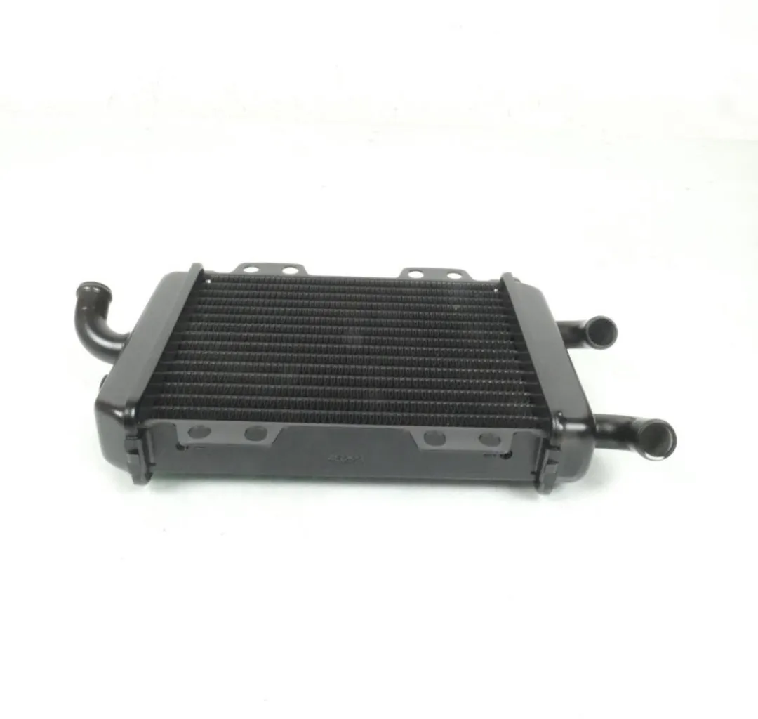 Peugeot Radiateur Scooter Elyseo 125 - 45293/738202/737859