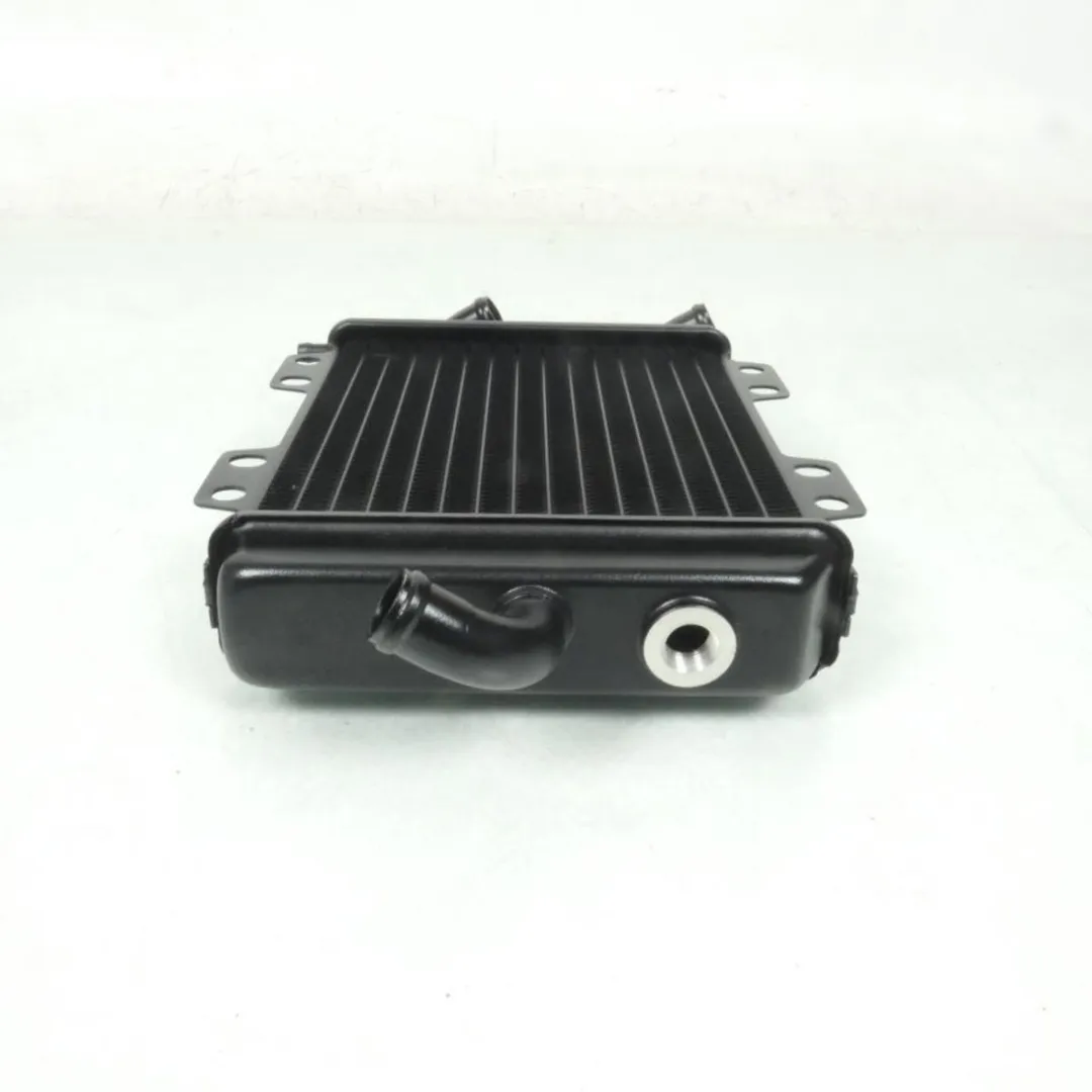Peugeot Radiateur Scooter Elyseo 125 - 45293/738202/737859