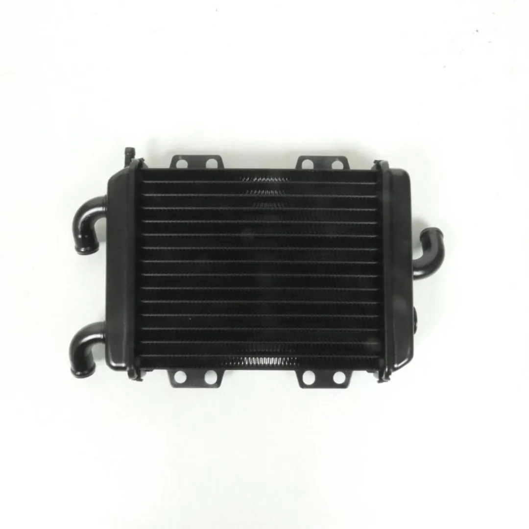 Peugeot Radiateur Scooter Elyseo 125