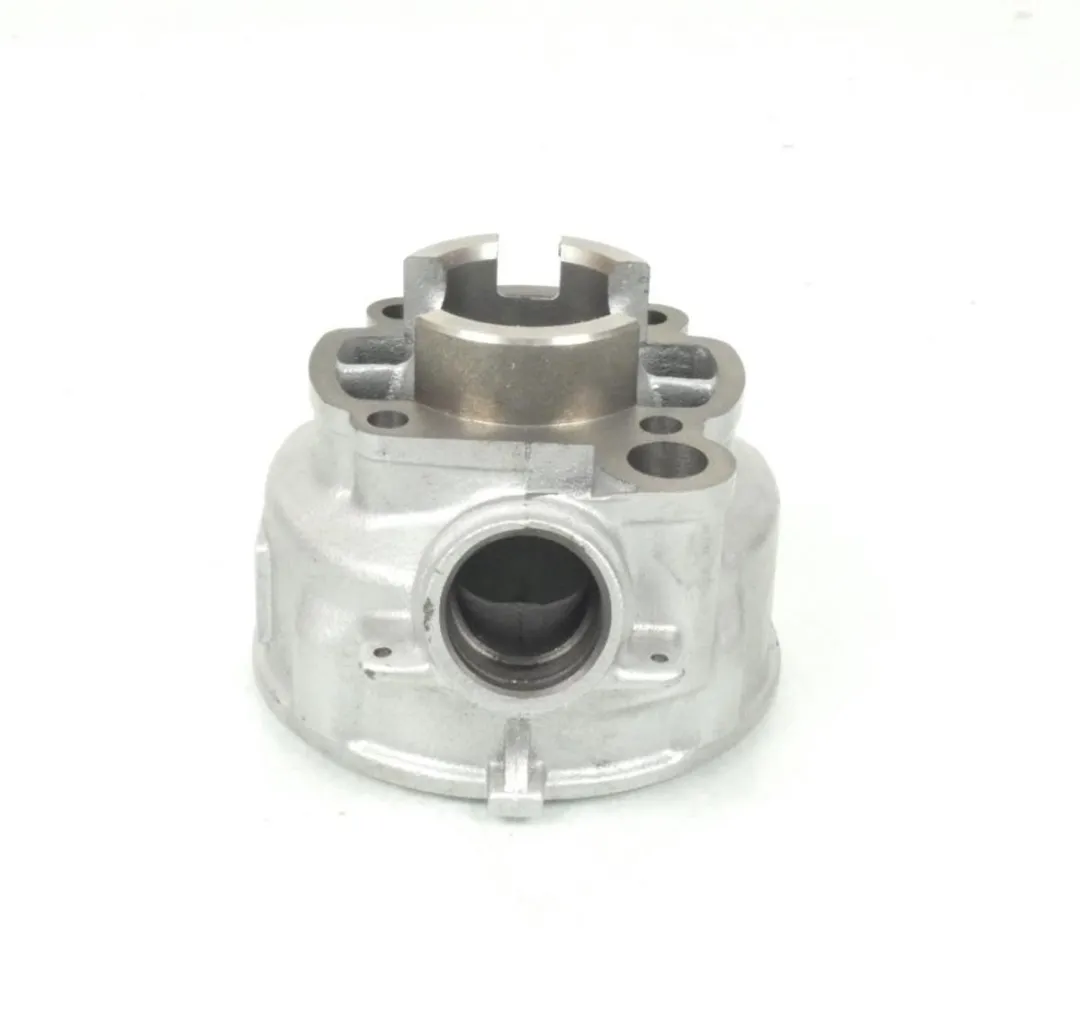 Beta Cilinder Moto 50 RR FACTORY