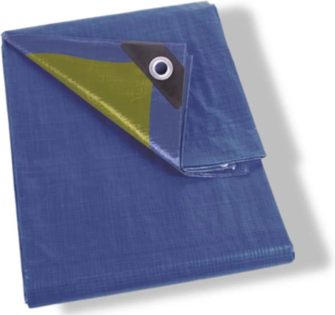 Perel Dekzeil 10x12m - 110g/m² - 44 Ringen - Blauw/ Groen