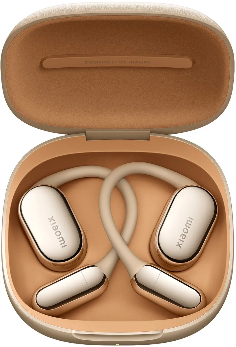 Xiaomi BHR080FGL Oordopjes