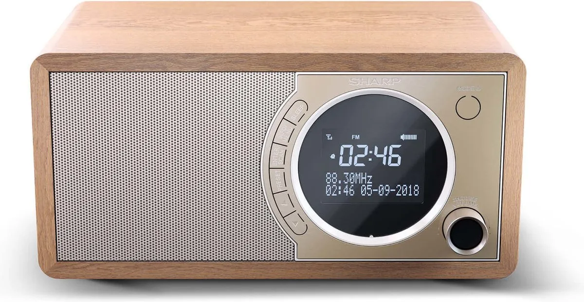 Sharp DR-450 DAB+ FM Radio - Bruin