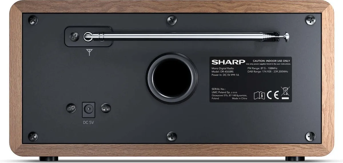 Sharp DR-450 DAB+ FM Radio - Bruin