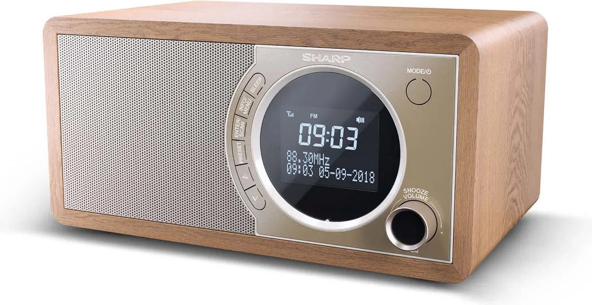 Sharp DR-450 DAB+ FM Radio - Bruin
