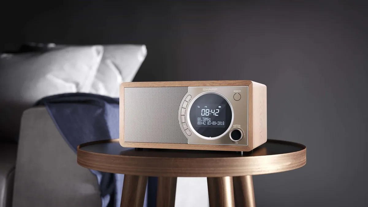 Sharp DR-450 DAB+ FM Radio - Bruin