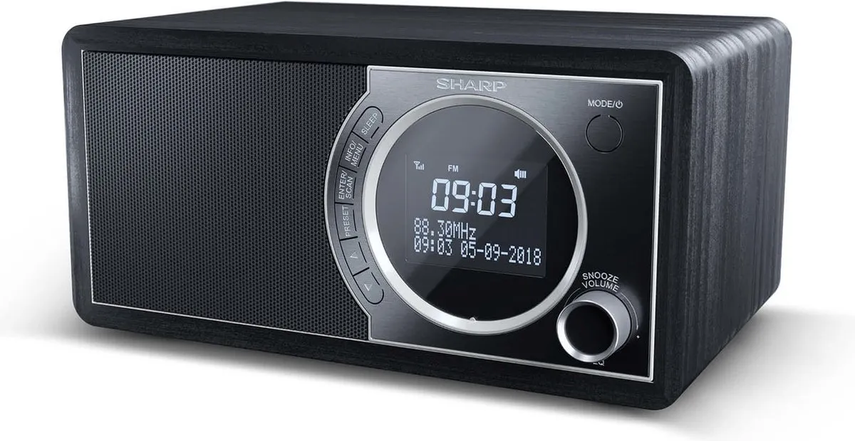 Sharp DR-450 Radioklok - 3W - Zwart