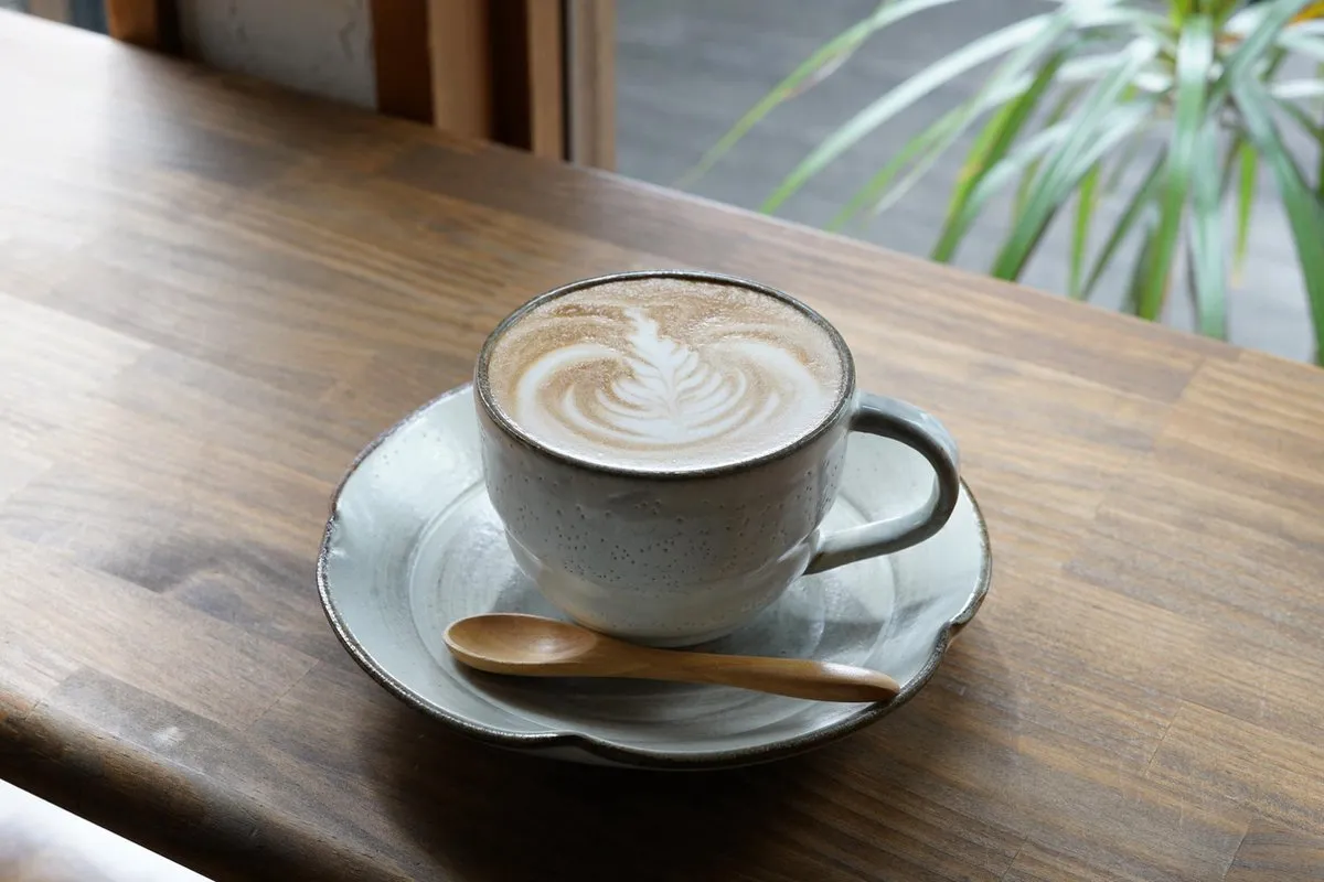 Sony FE 50mm f/1.8 Prime Lens