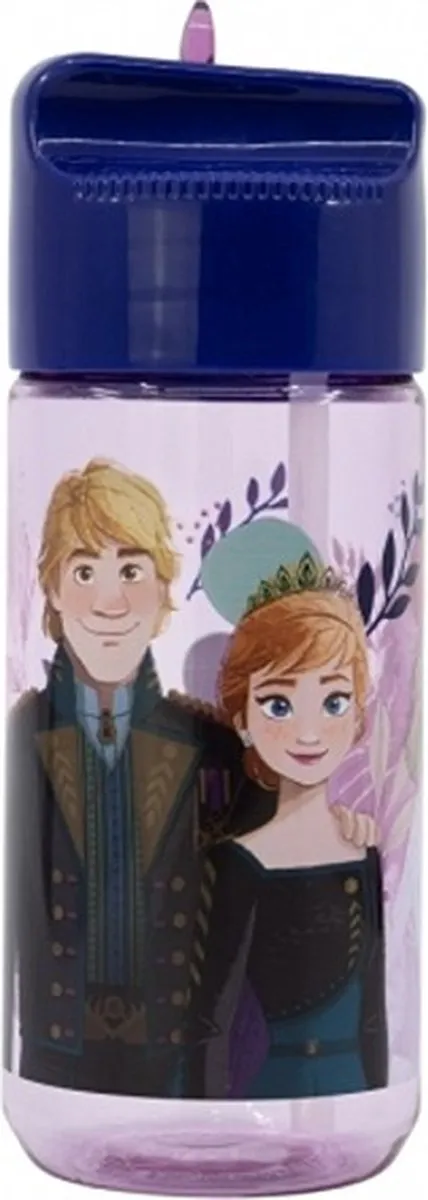 Disney Frozen Drinkfles 430ml