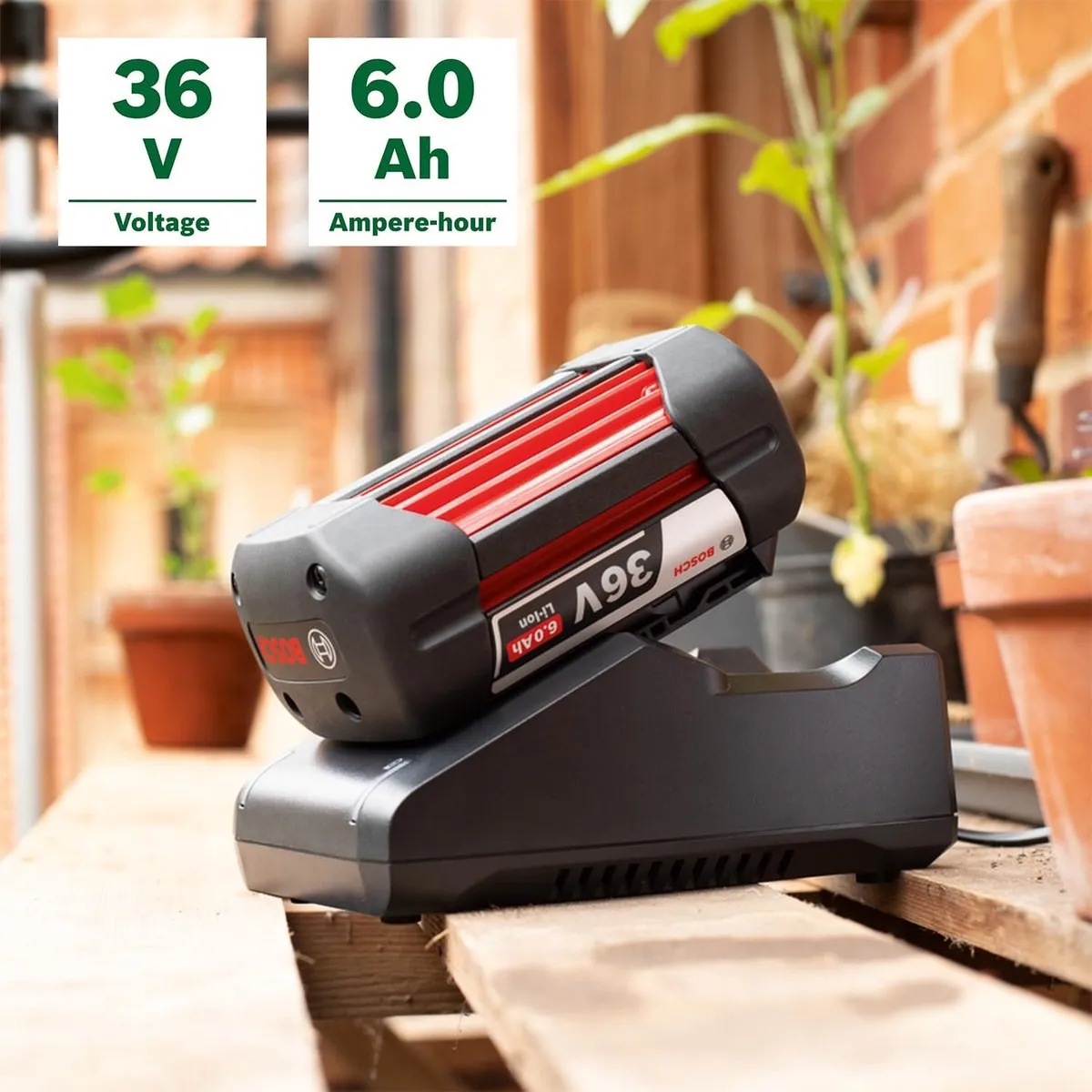 Bosch Starterset GBA 36V 6.0Ah AL 36V-20 - Rood/Zwart
