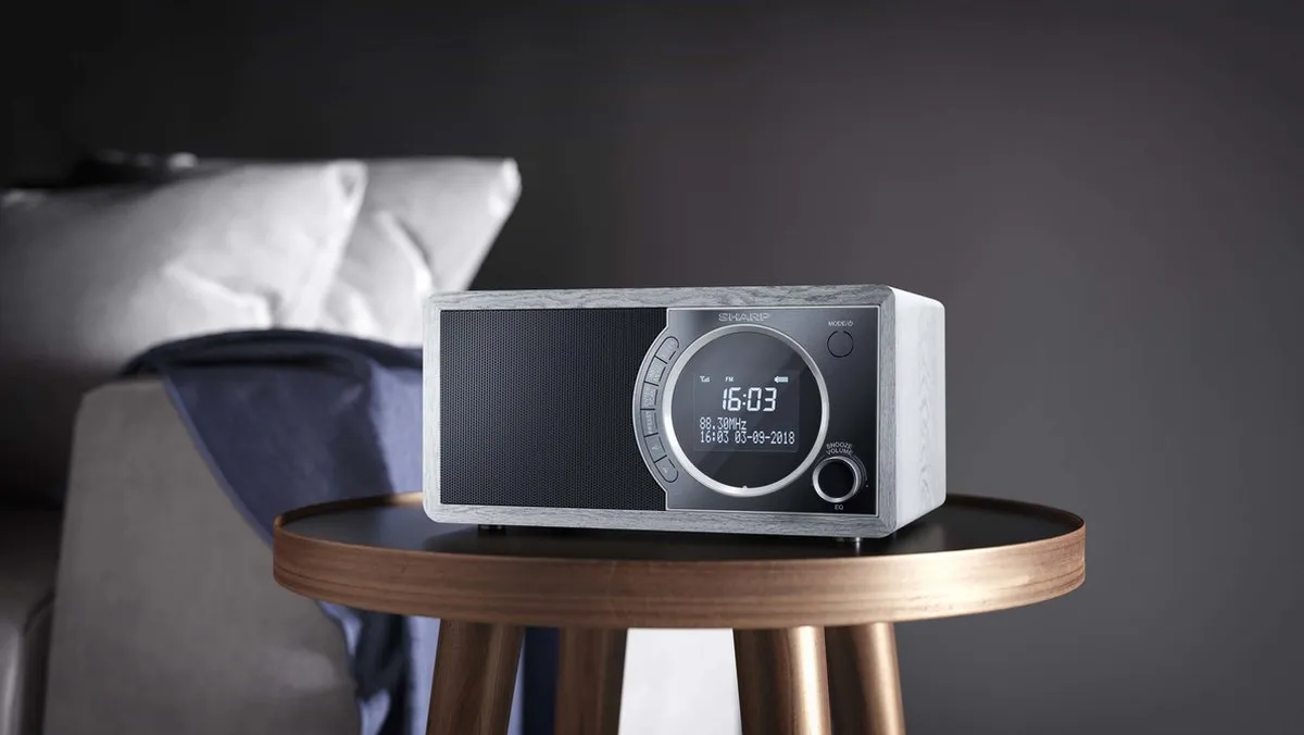 Sharp DR-450GR DAB+ FM Radio - Grijs