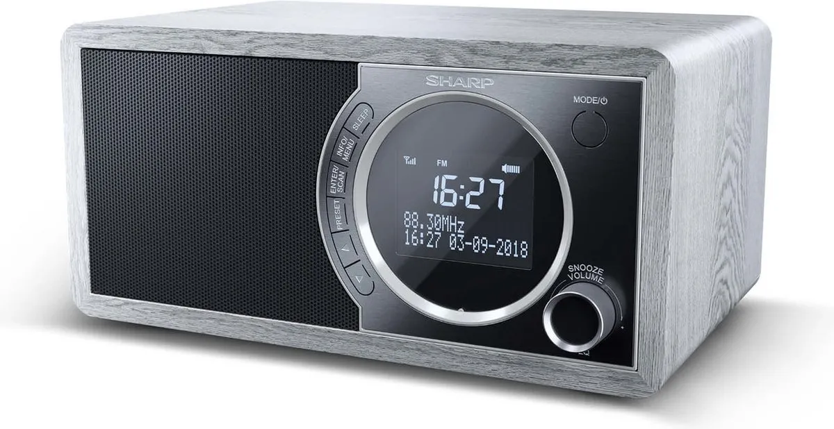 Sharp DR-450GR DAB+ FM Radio - Grijs