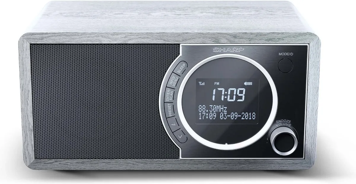 Sharp DR-450GR DAB+ FM Radio - Grijs