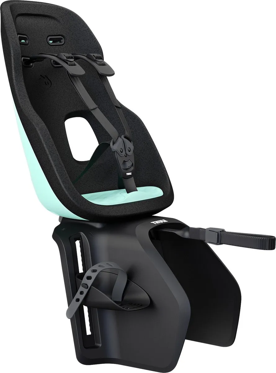 Thule Yepp Nexxt 2 Maxi Fietsstoeltje RM