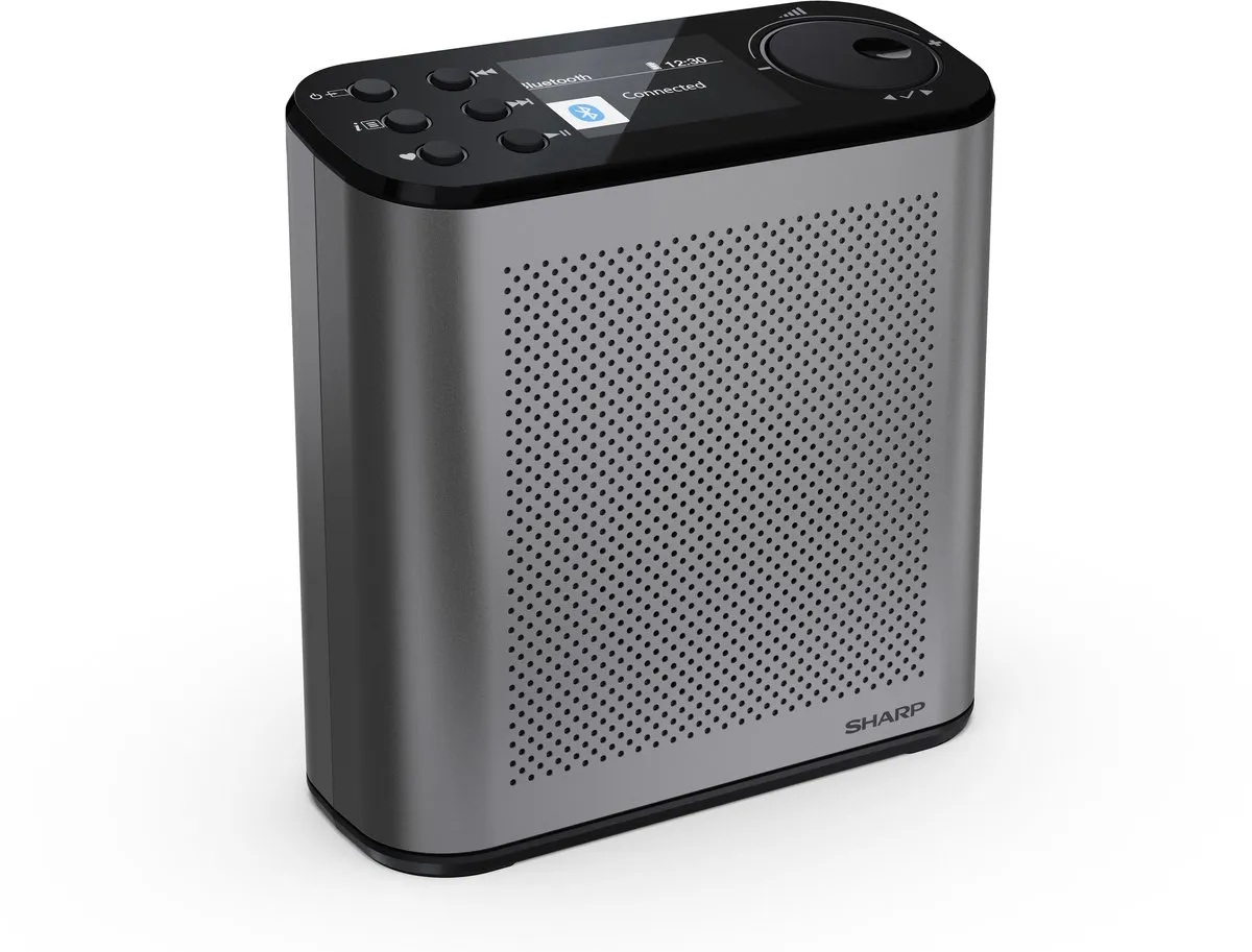 Sharp DR-P530 Osaka DAB+/FM Radio