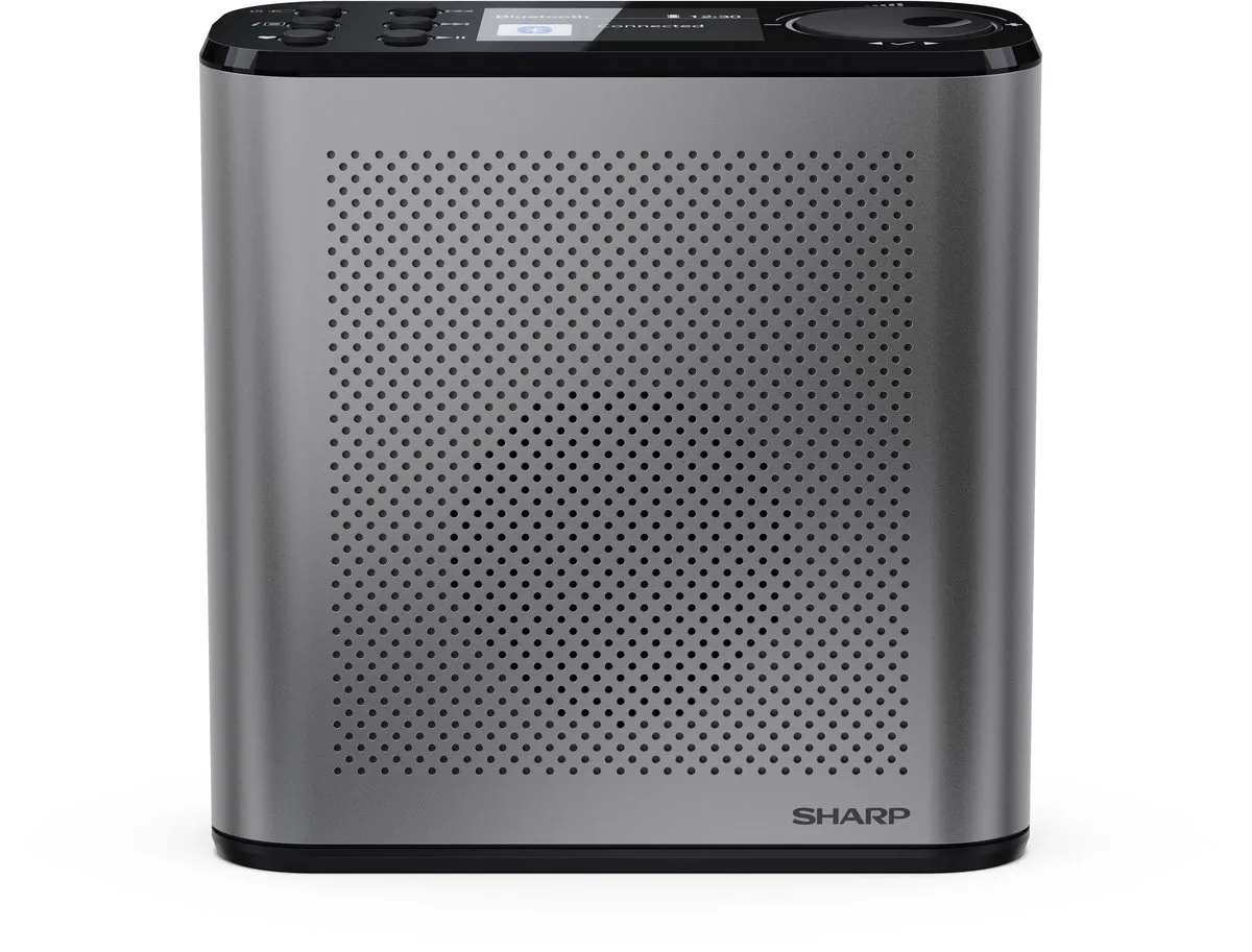 Sharp DR-P530 Osaka DAB+/FM Radio - Grijs