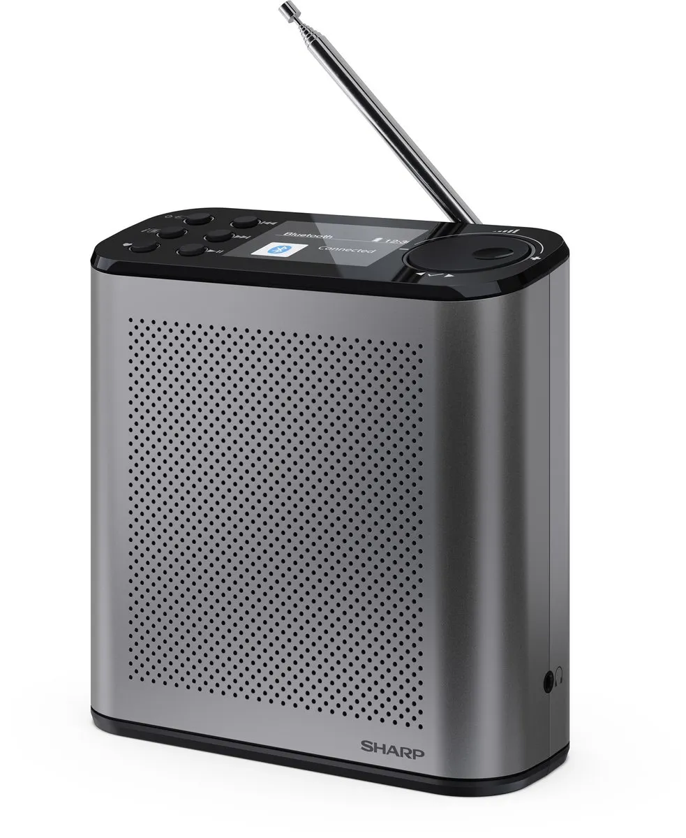 Sharp DR-P530 Osaka DAB+/FM Radio - Grijs