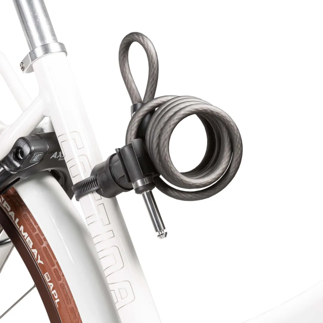 AXA Newton PI Insteekkabel 150cm 10mm - Zwart mat