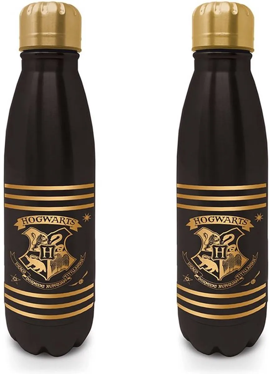 Harry Potter Metal Drinkfles
