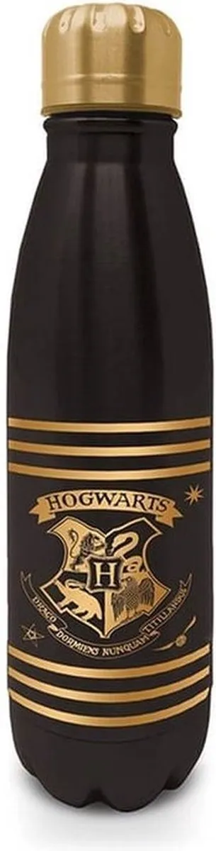 Harry Potter Metal Drinkfles - 540ml - Multicolor