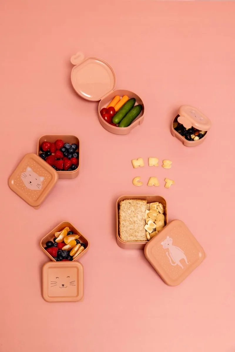 Trixie Schoolset Mrs Cat - Roestvrijstalen fles & 3 snackdozen