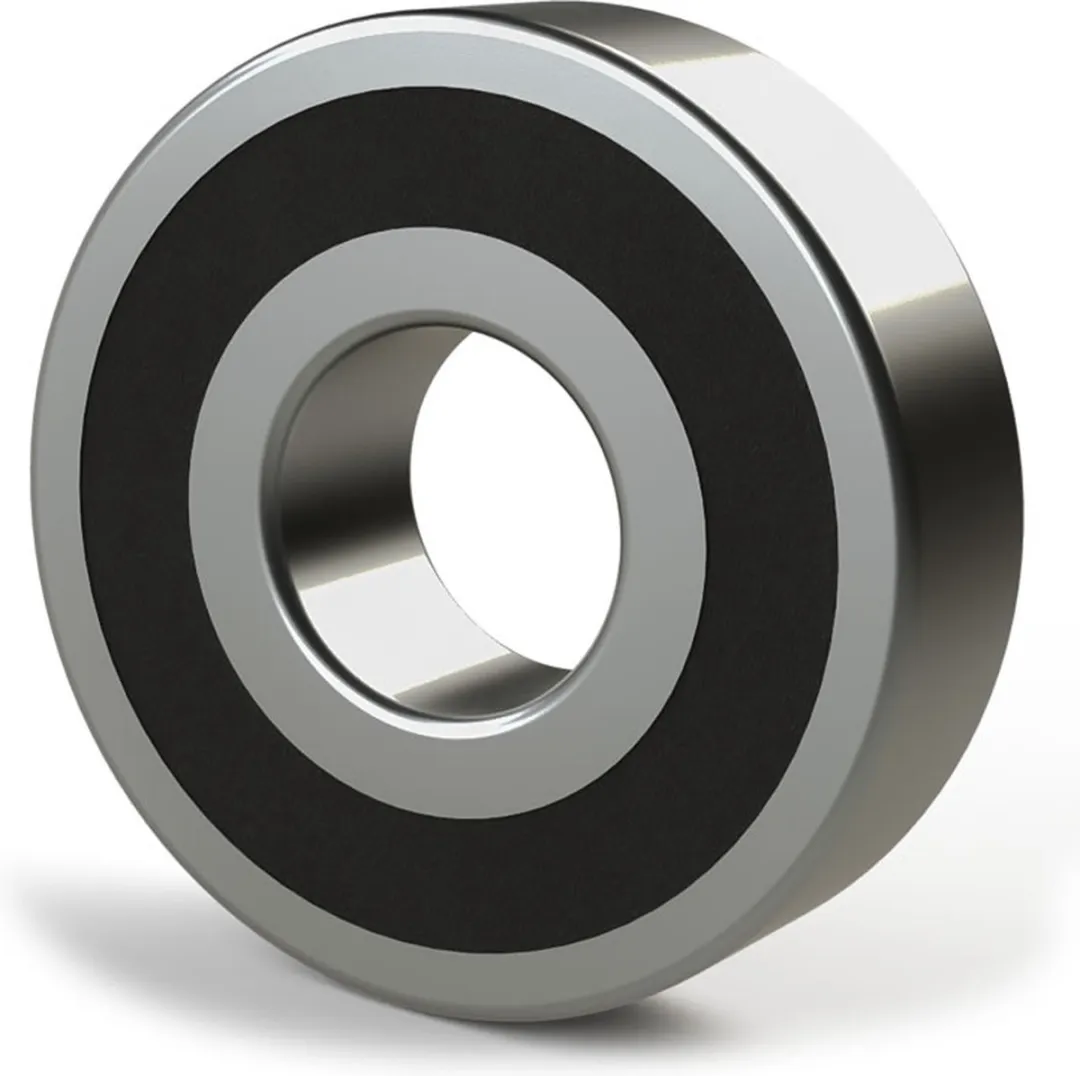 SKF 6005 2RS1 Lager - Zilver
