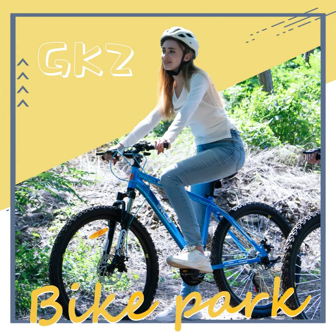 RCB 26 inch Fiets - 21 Versnellingen - Licht Aluminium Frame Zwart - afbeelding 5 van 6
