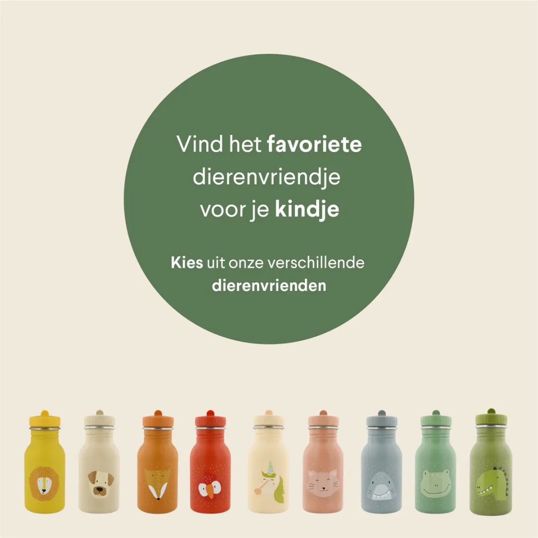 Trixie Mr. Dino RVS Waterfles 350ml - Groen
